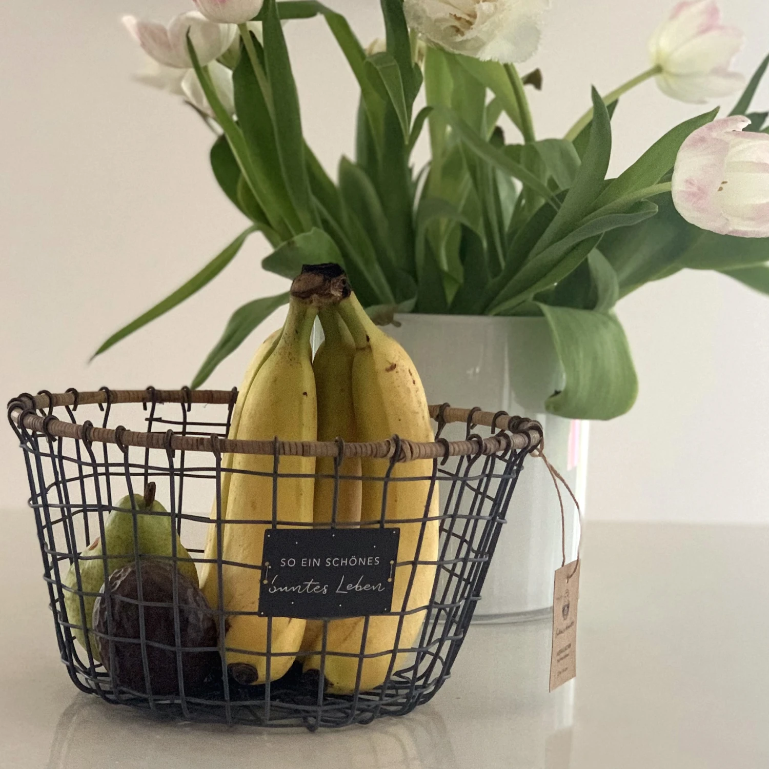 Draht-Korb „Buntes Leben“ 7 Draht-Korb „Buntes Leben“ – Bild 5