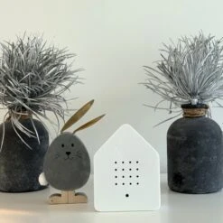 Zwitscherbox (Classic) -Kinderspielzeug 166148217 159392046039803 6122497229190316223 n