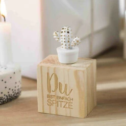 Glückskästchen „Kaktus“