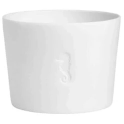 Meerlicht „Seepferdchen“