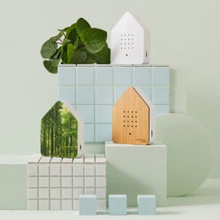 Zwitscherbox (Holz) -Kinderspielzeug Zwitscherbox group bathroom square instragram 1