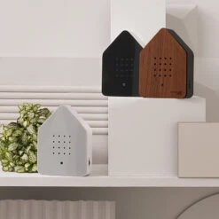 Zwitscherbox (Classic) -Kinderspielzeug Zwitscherbox group bookshelf landscape