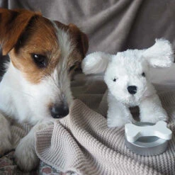 JaBaDaBaDo Hund (Kuscheltier) Mit Tragetasche -Kinderspielzeug hundmittragetasche4