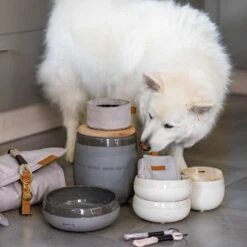 Hunde-Decke „Bodyguard“ -Kinderspielzeug pets sortiment1 7