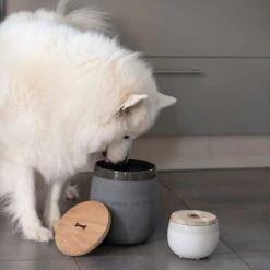 Hunde-Decke „Bodyguard“ -Kinderspielzeug pets sortiment2 7