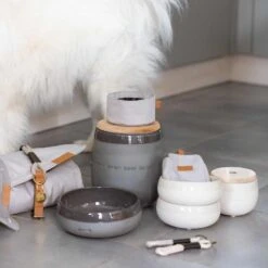 Leine „Hot Dog“ -Kinderspielzeug pets sortiment3 3